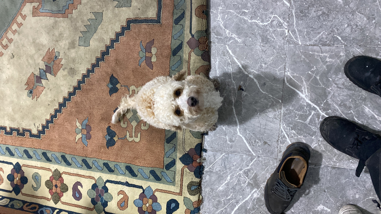 Linda kızımıza ankara içi eş arıyoruz 3