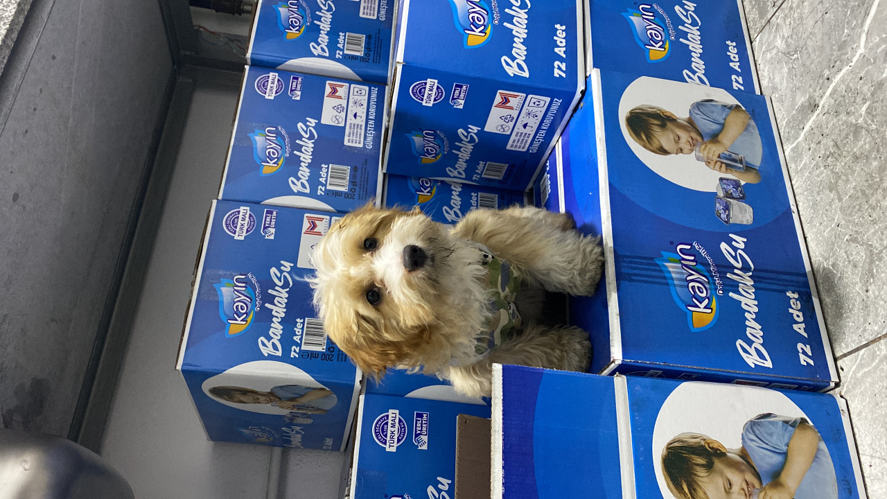 Linda kızımıza ankara içi eş arıyoruz 5