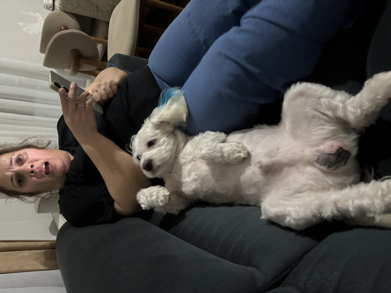 Oğluma eş arıyorum 2