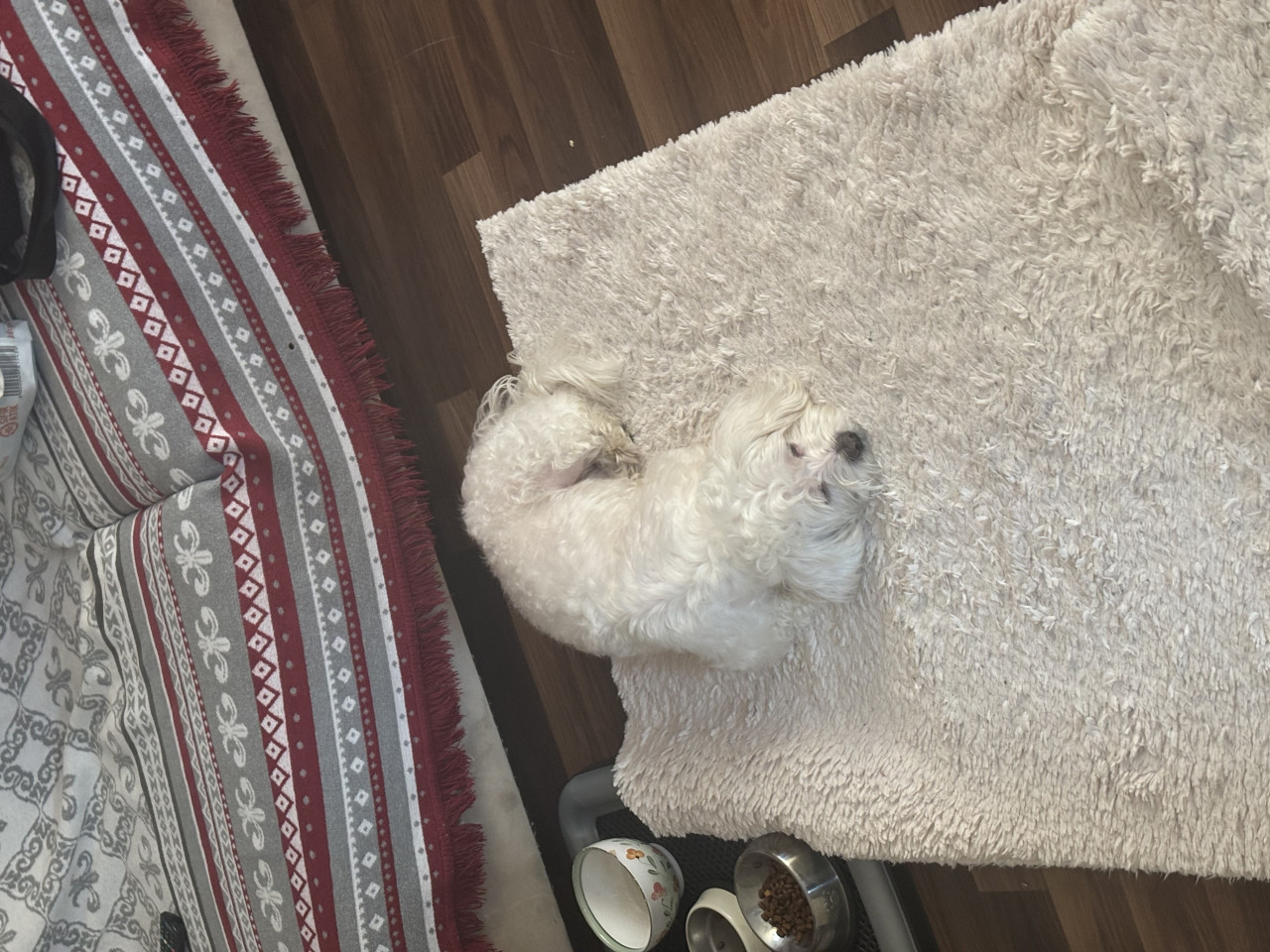 Oğluma eş arıyorum 3