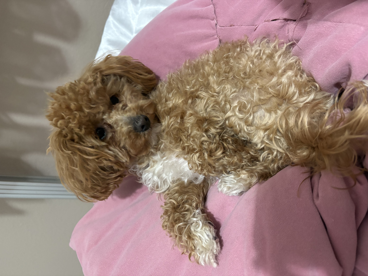 Kızıma Eş Arıyoruz 1