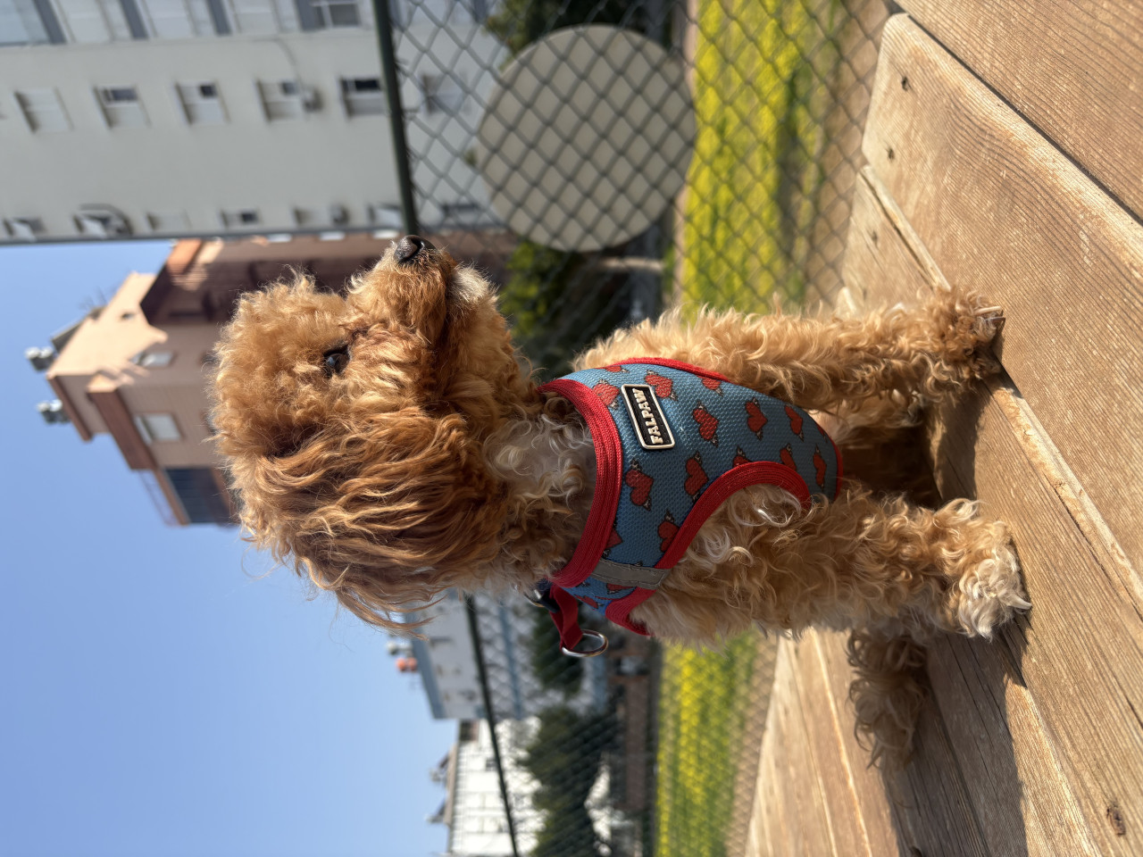 Kızıma Eş Arıyoruz 2