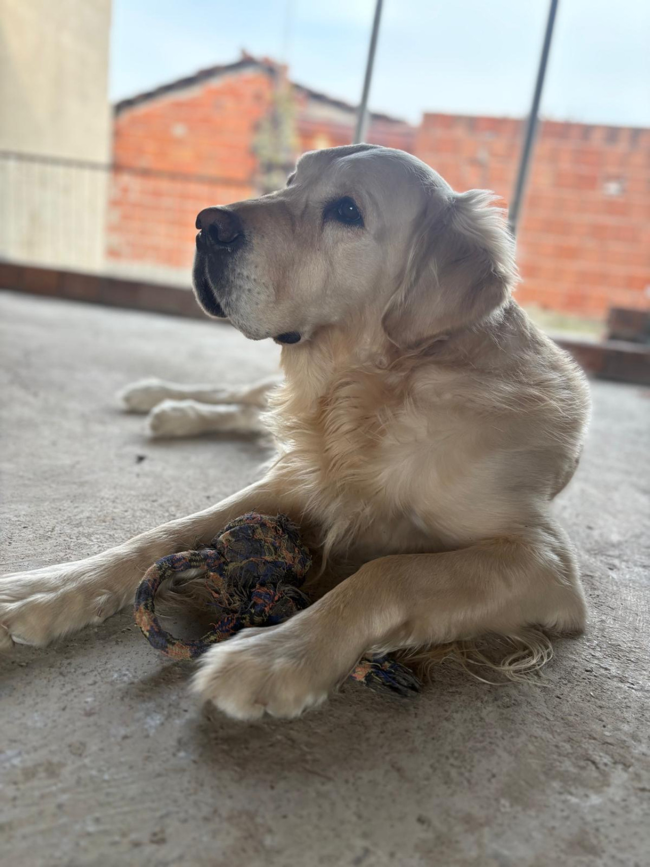 Oğluma eş arıyorum 3