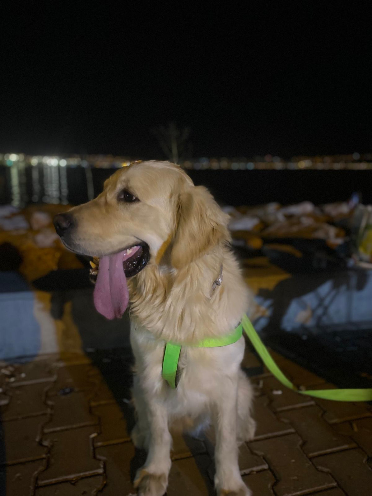 Oğluma eş arıyorum 2