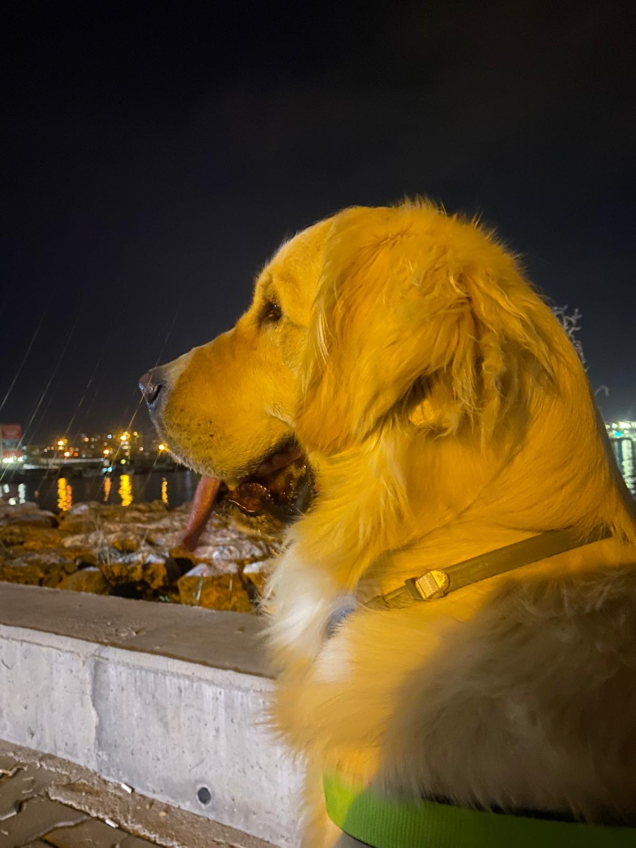 Oğluma eş arıyorum