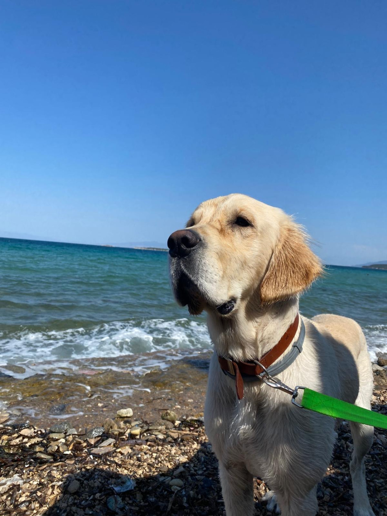 Oğluma eş arıyorum 7