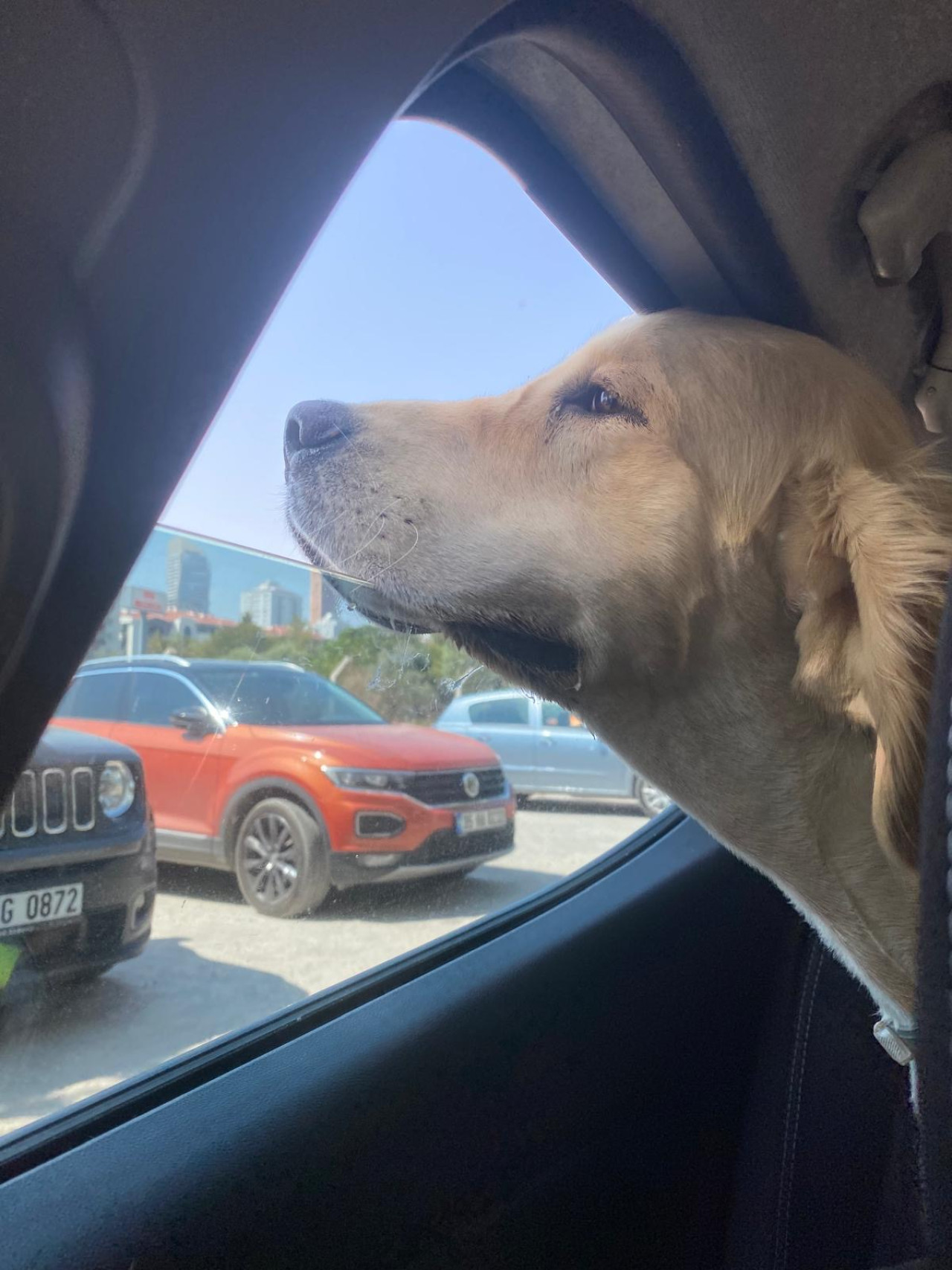 Oğluma eş arıyorum 8