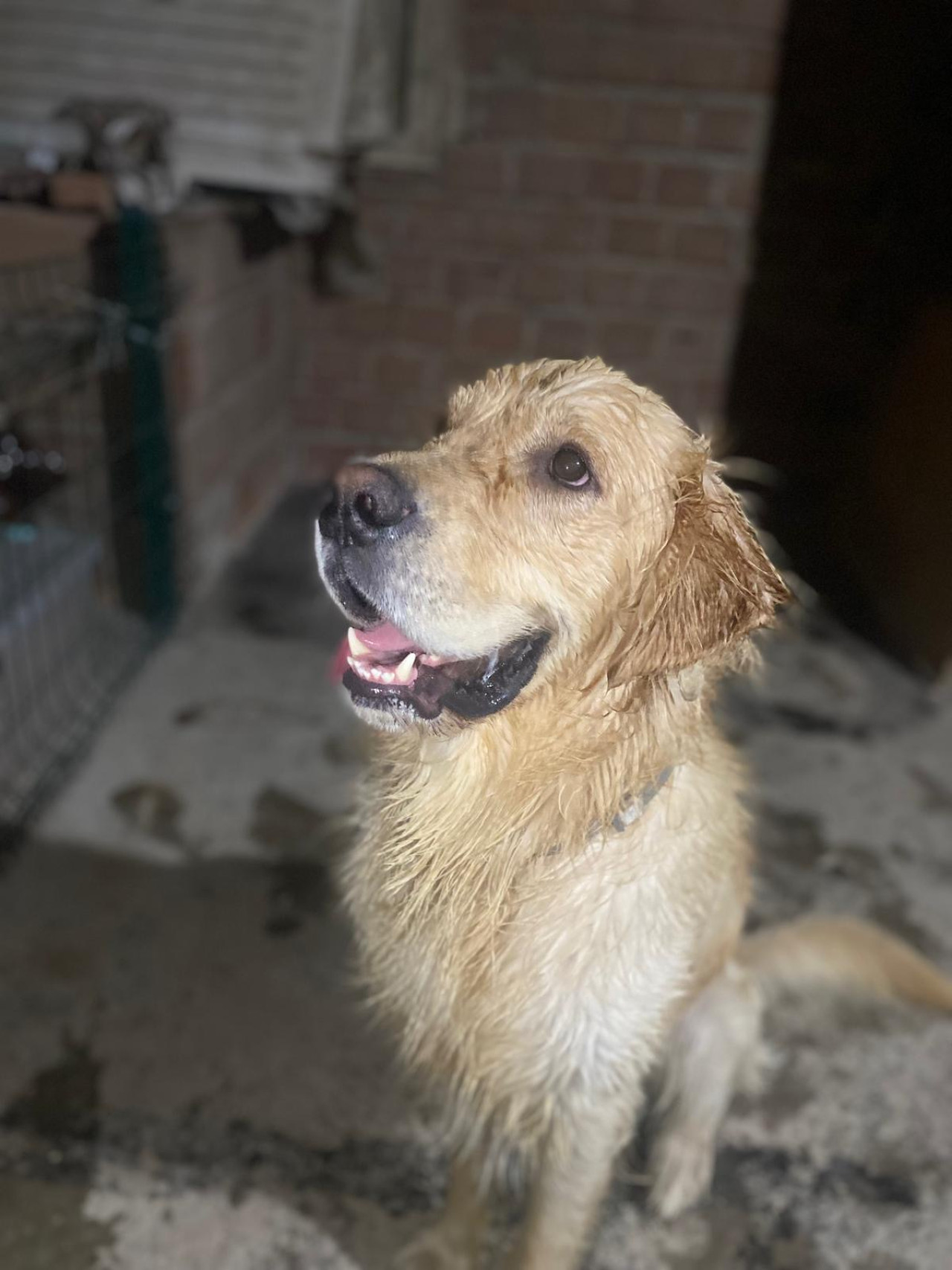 Oğluma eş arıyorum 5