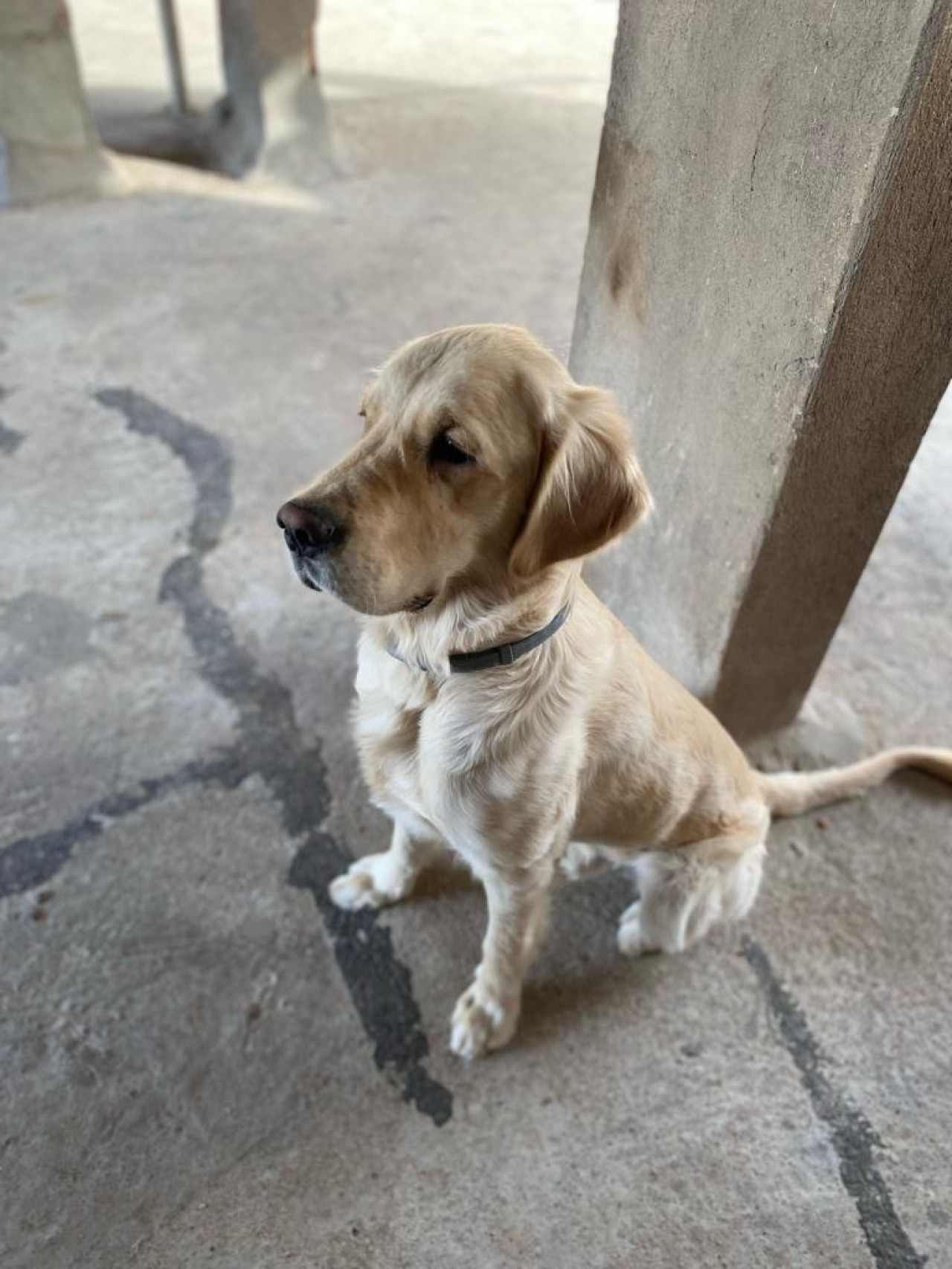 Oğluma eş arıyorum 6