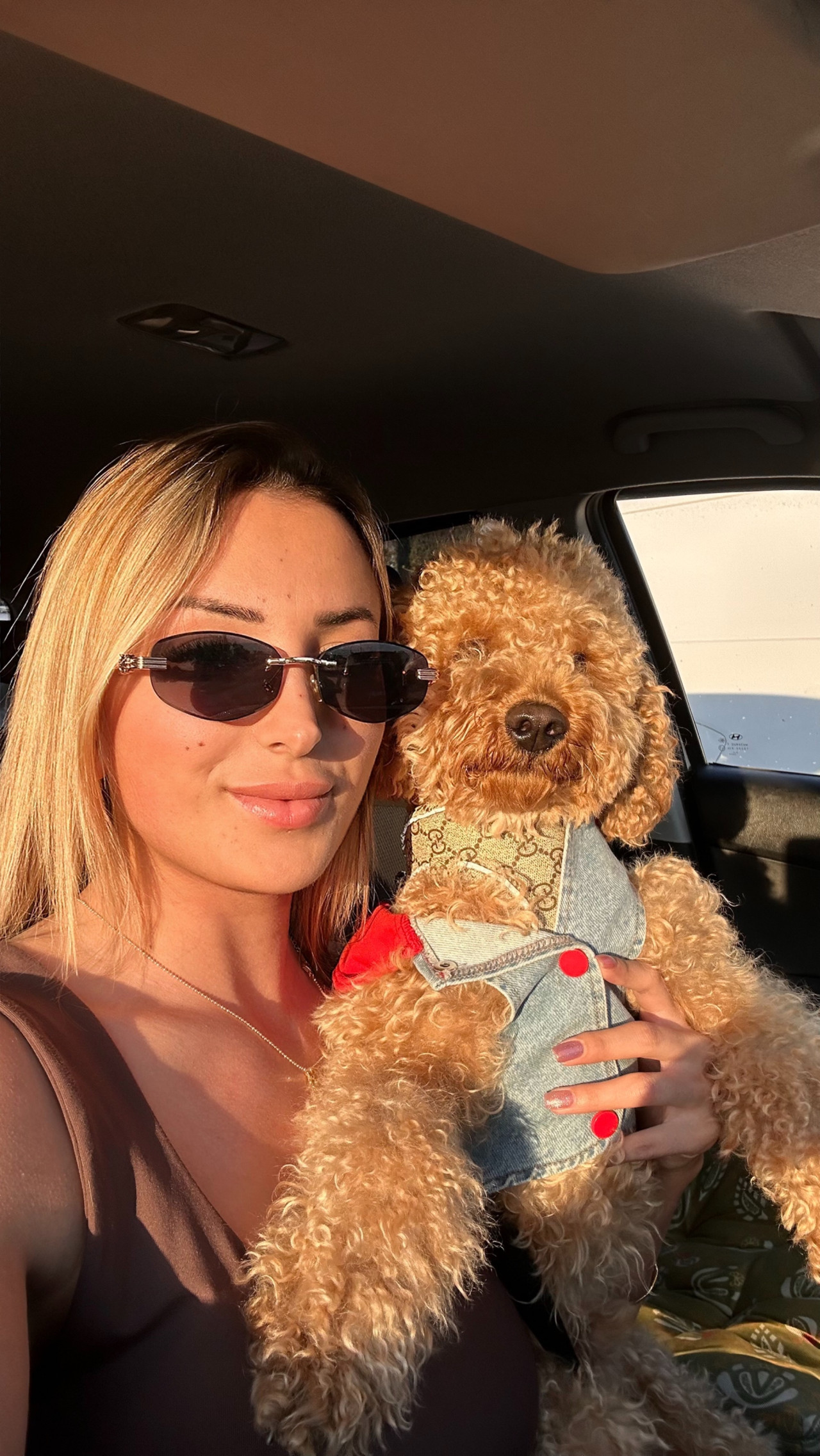 Poodle Eş Arıyoruz 4