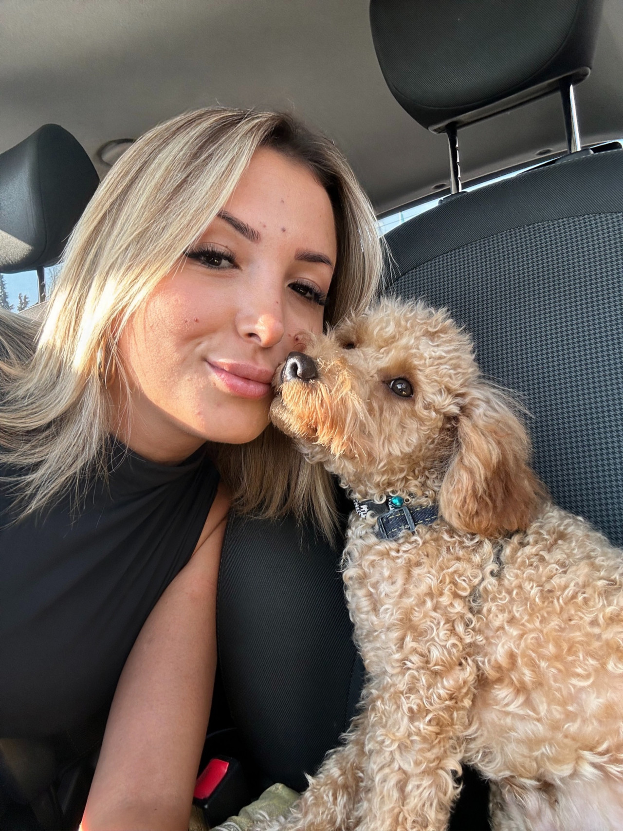 Poodle Eş Arıyoruz 5