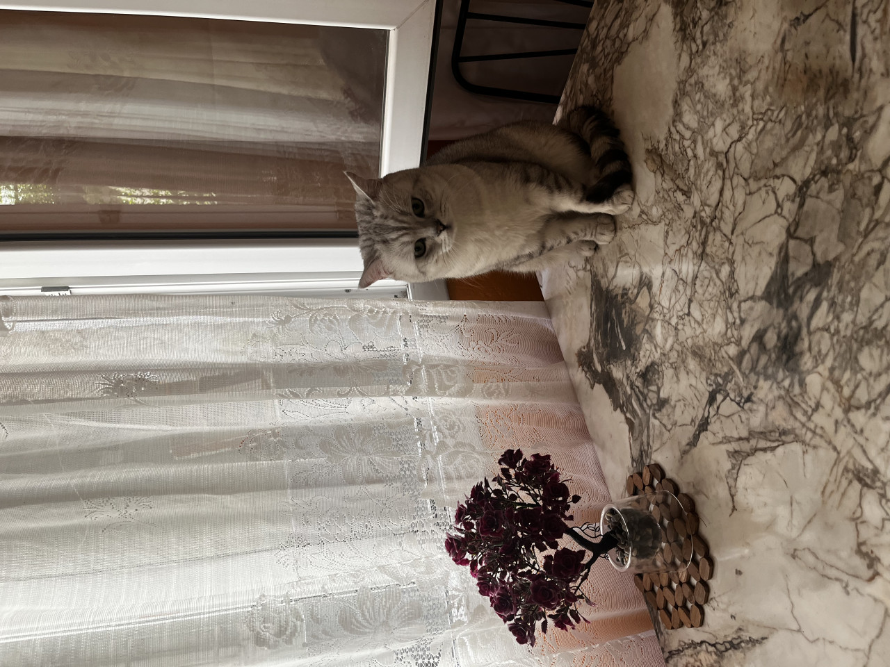 Oğluma eş arıyorum 4
