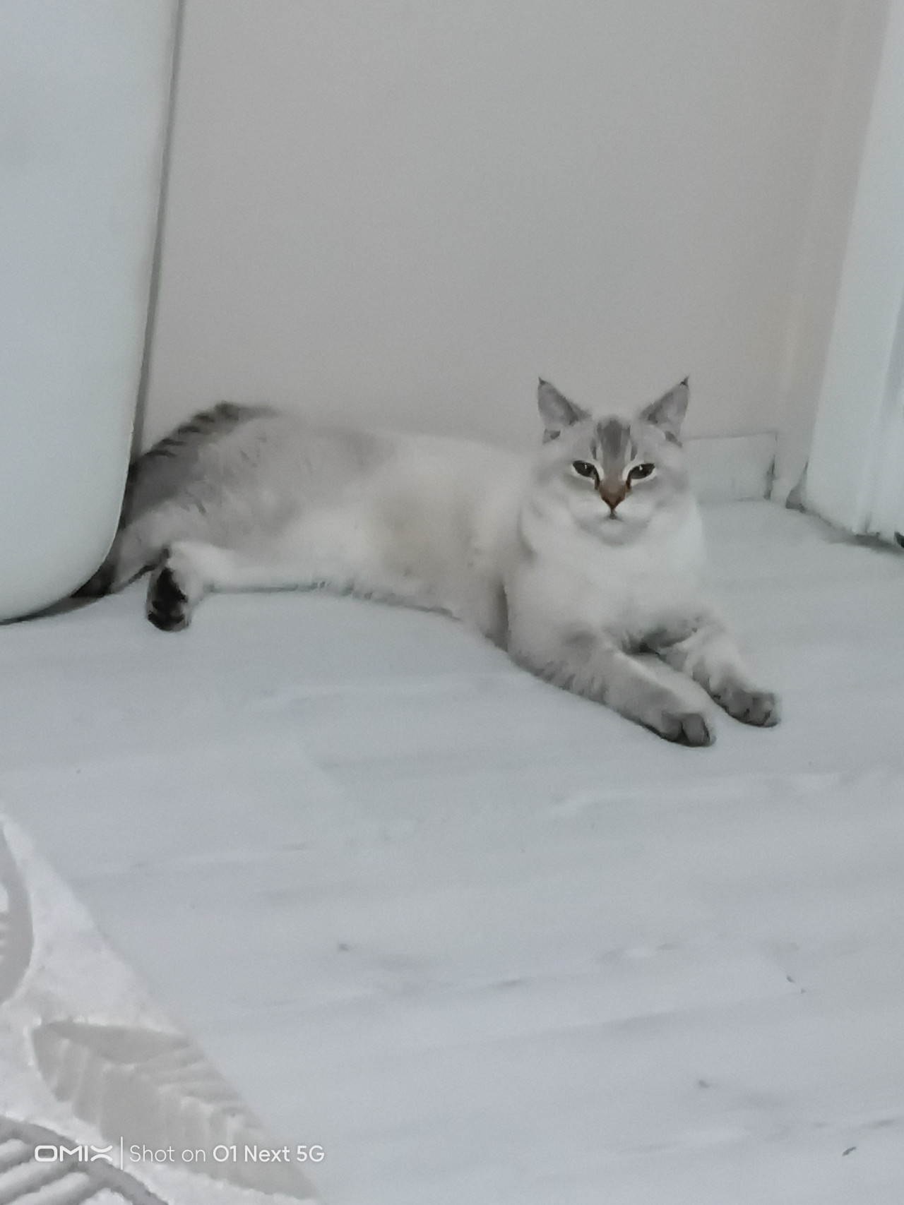 Çiftleştirme 2