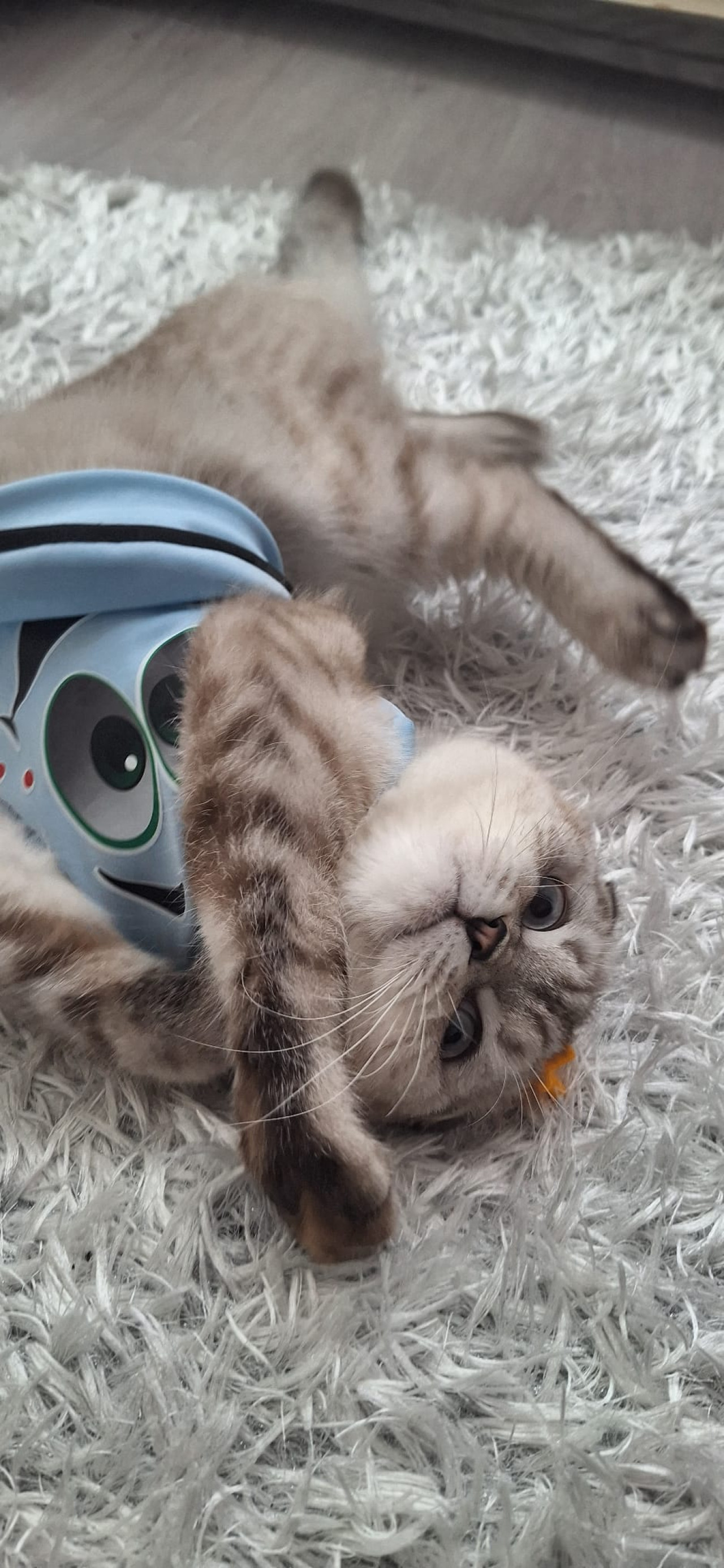 Yakışıklı Leo