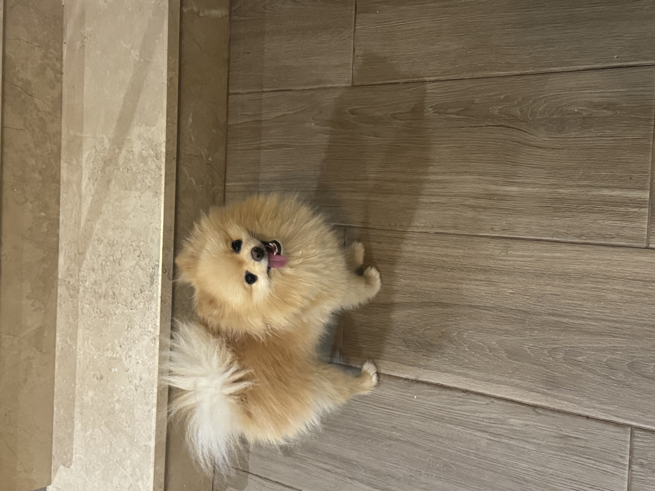 CHUCKY EŞİNİ ARIYOR 3