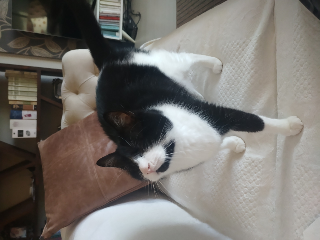 Oscar