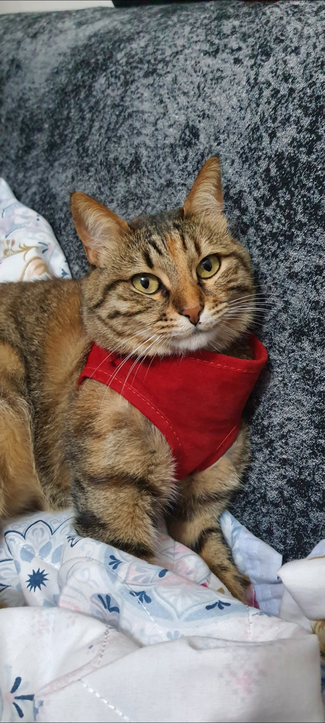 Zeyna