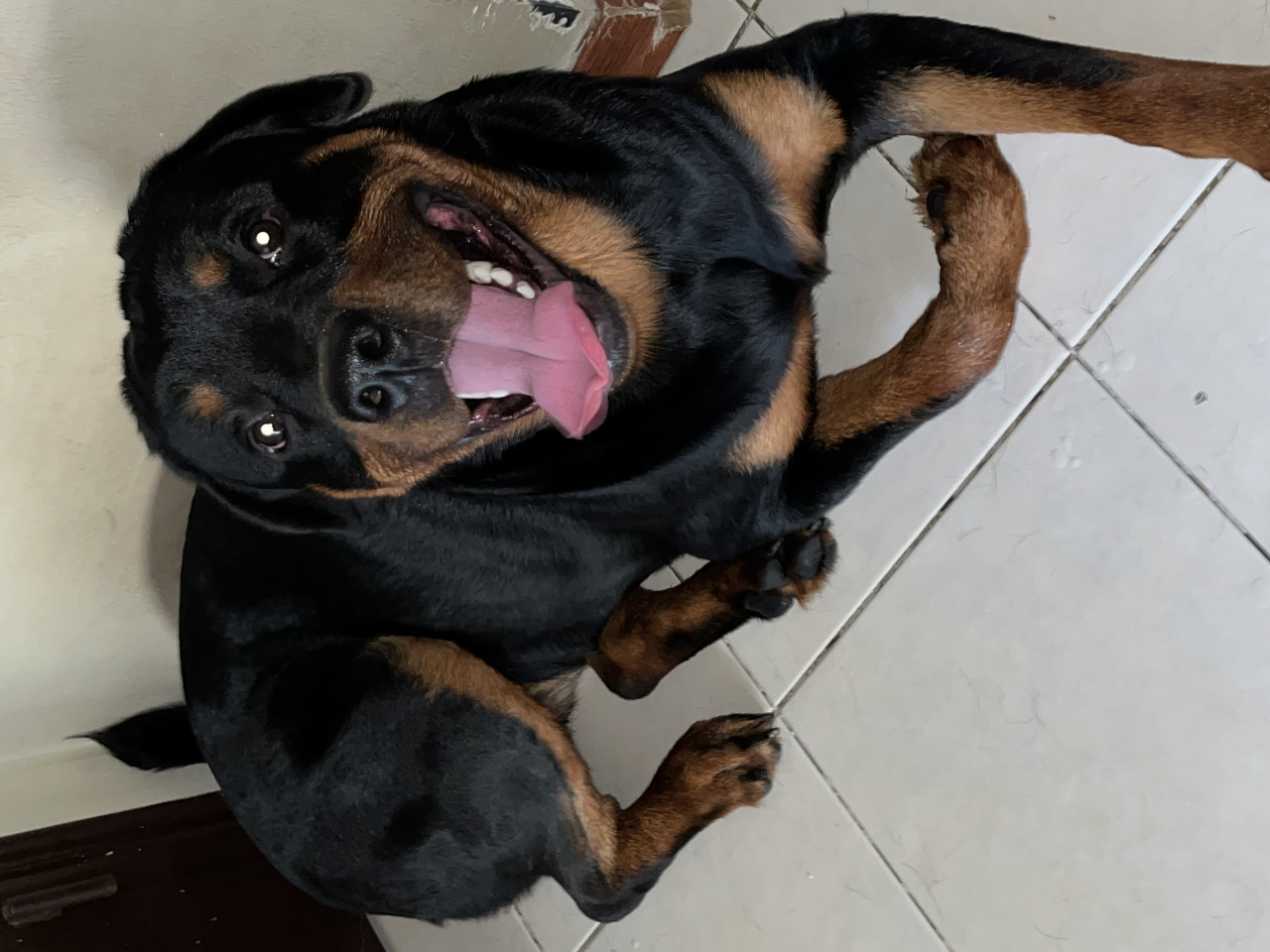 Ares