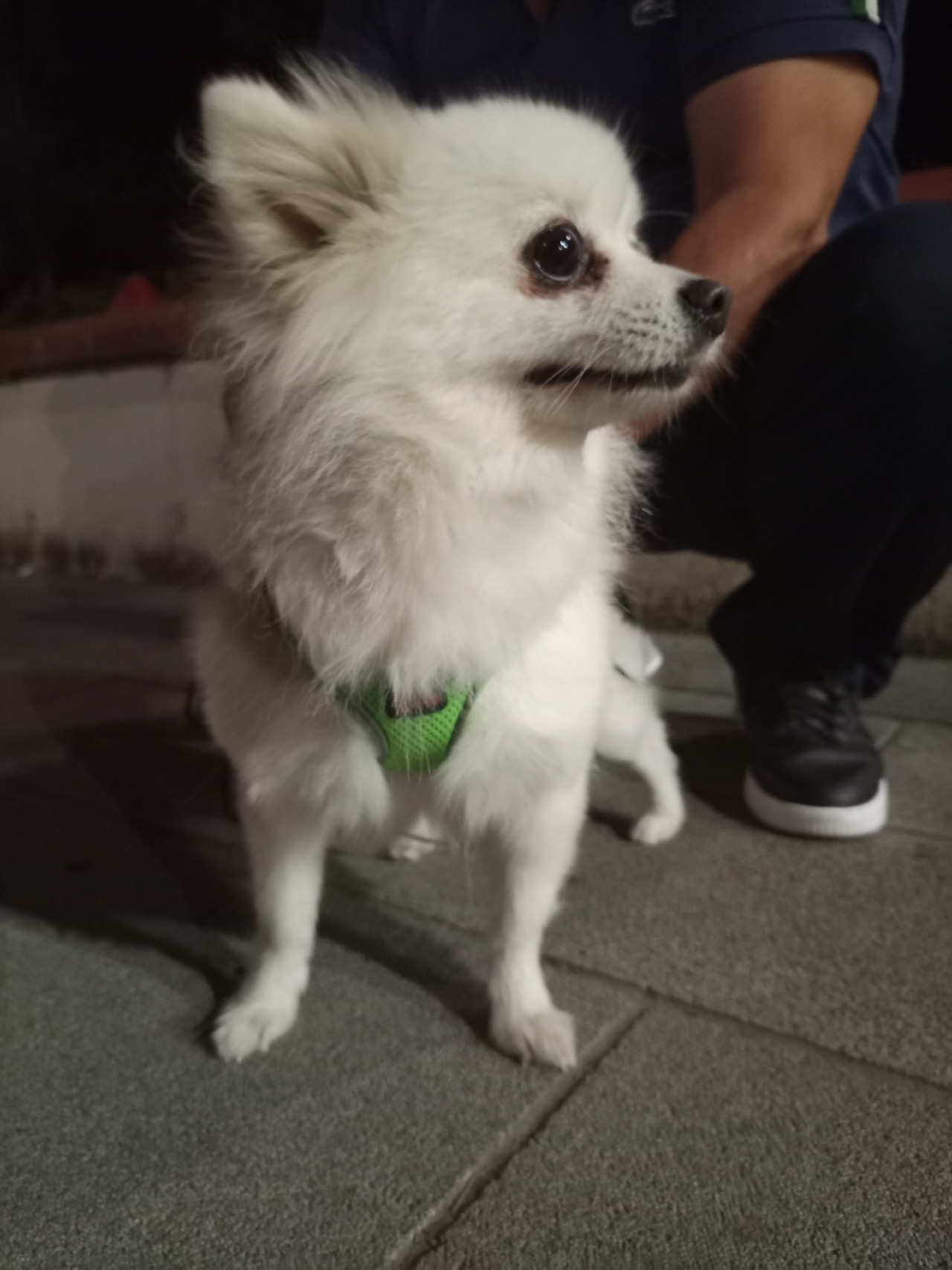 Lila