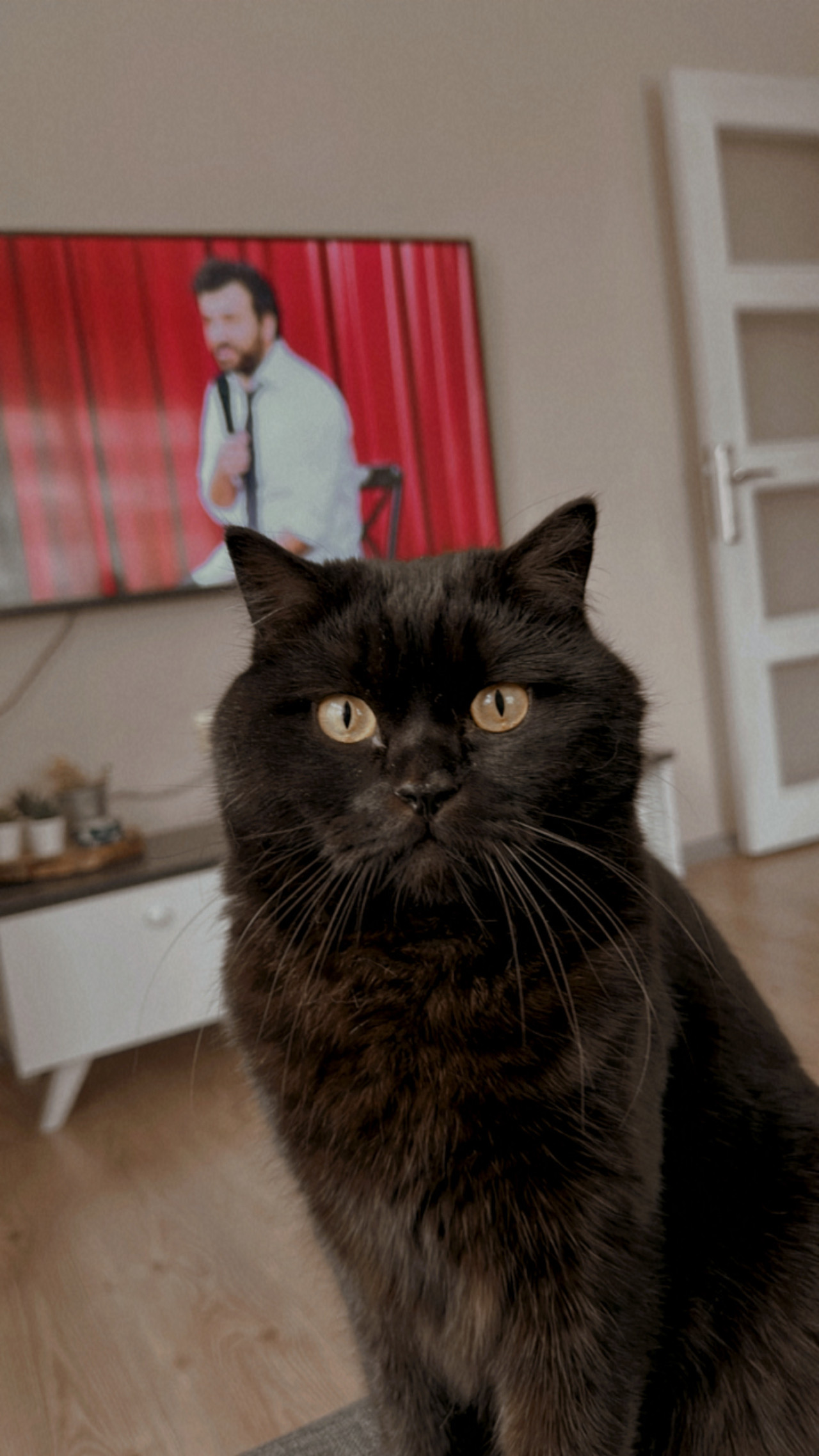 Ceku