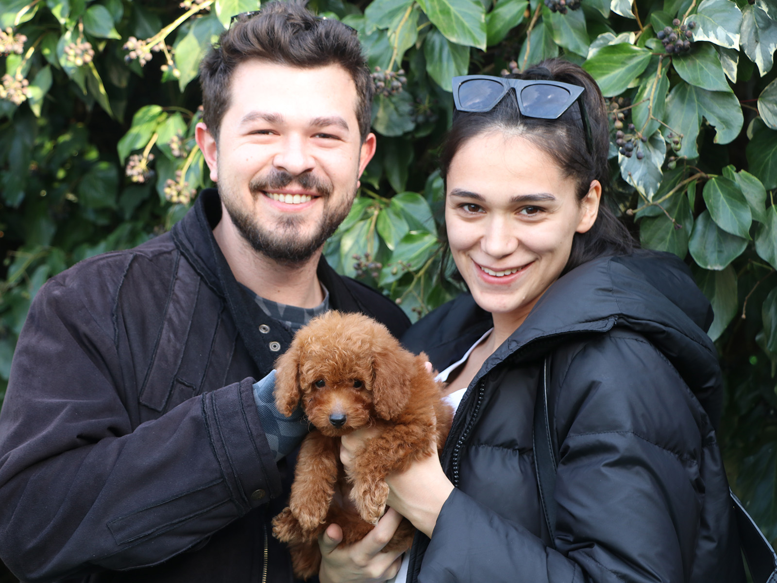 Cansu Hanım hayalindeki Red Brown Poodle yavrusuna kavuştu.