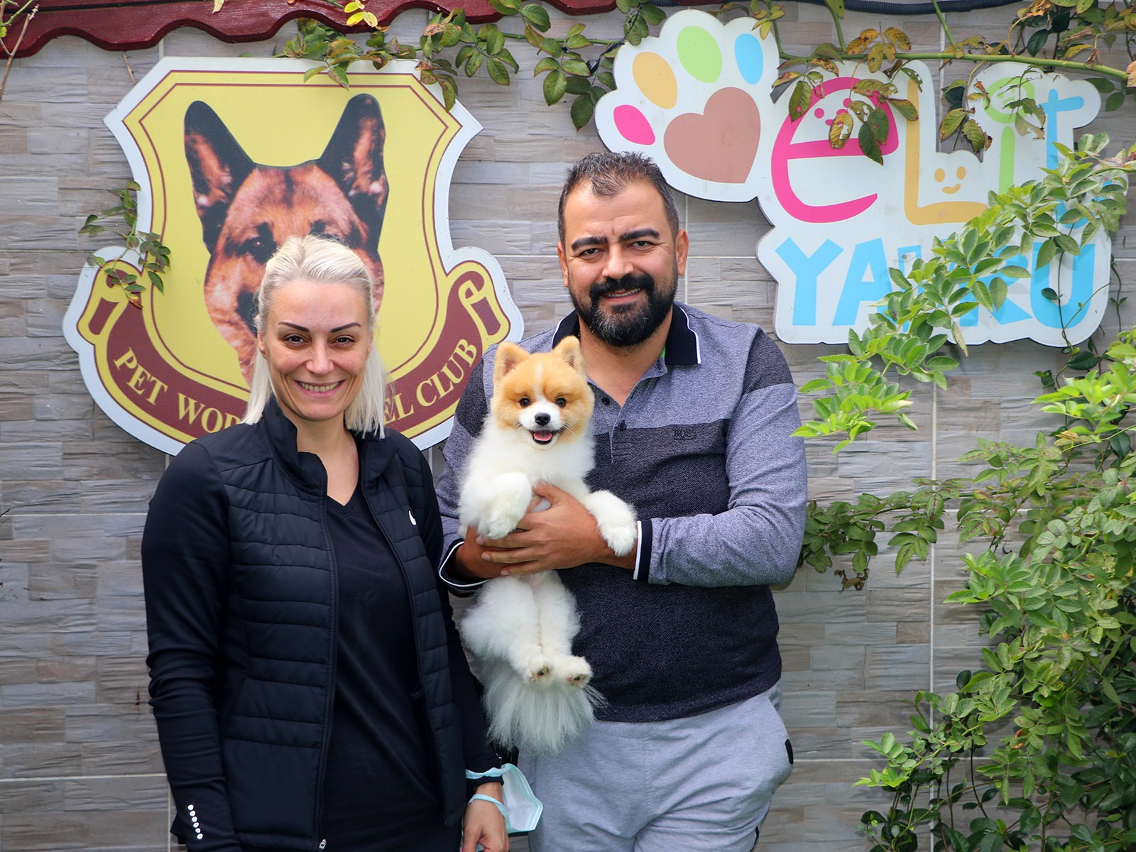 Sevgili Cesur ailesinin daha önce çifliğimizden sahiplenmiş olduğu Pomeranian cinsi Mex temel itaat eğitimini başarıyla tamamladı. 