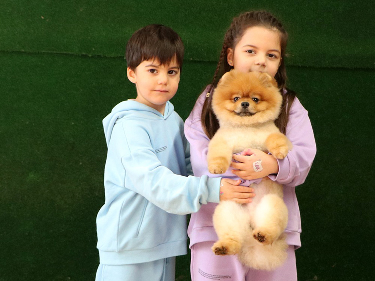 Hülya Hanım ve ailesinin Pomeranian dostu Coco eğitimlerini tamamladı.