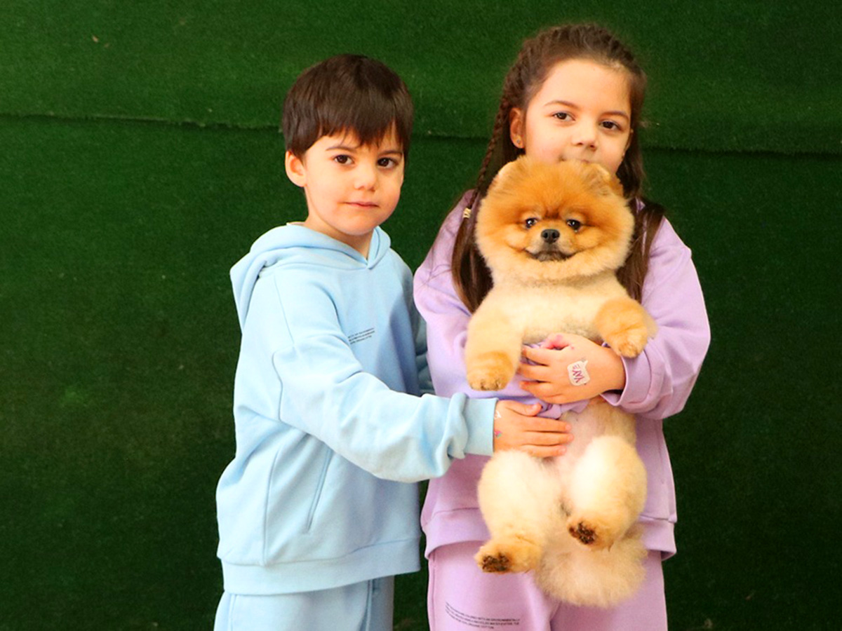 Hülha Hanım ve ailesi Pomeranian yavruları Coco'ya kavuştu.