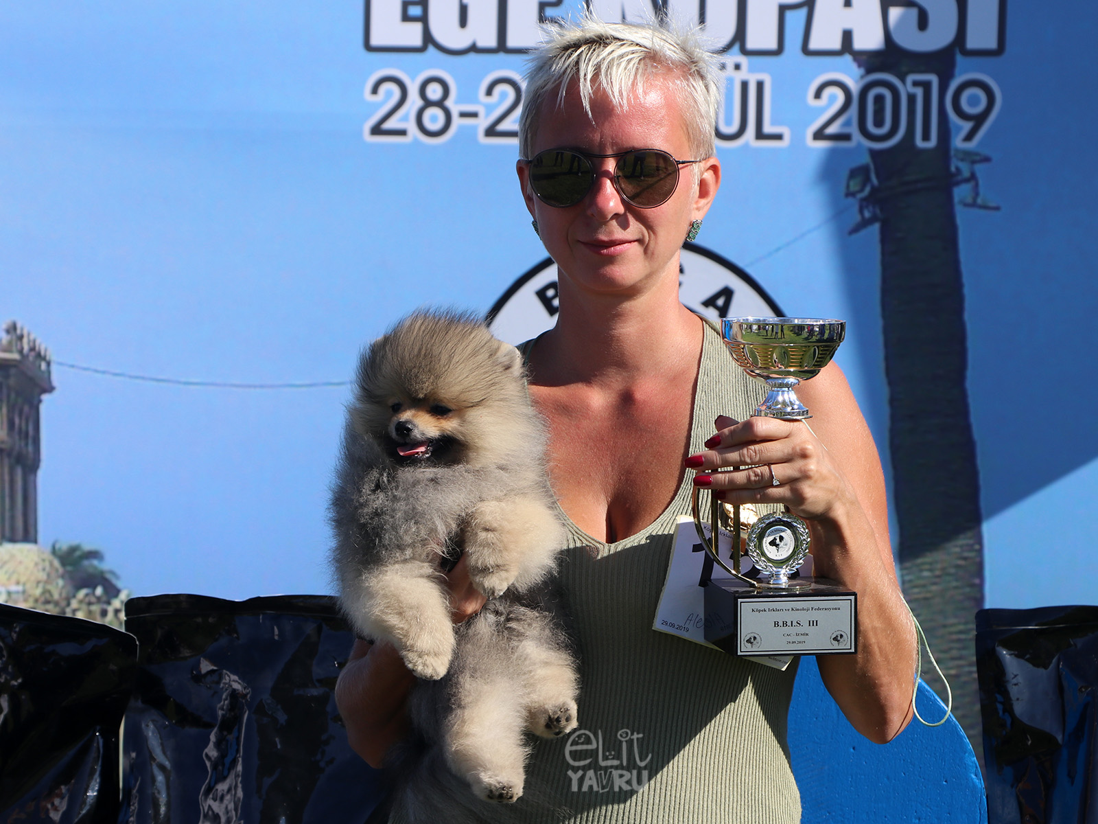 pomeranian izmir yarismasi alex 2019