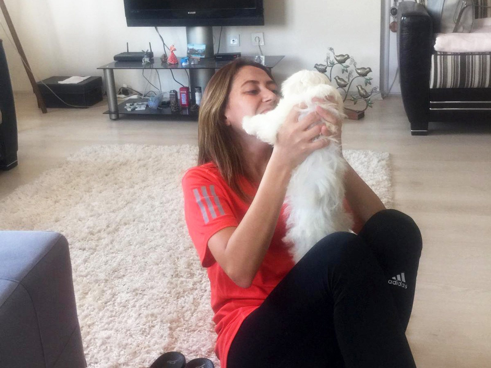 Ankara'dan Pınar hanım Maltese Terrier Lucky'ye Kavuştu