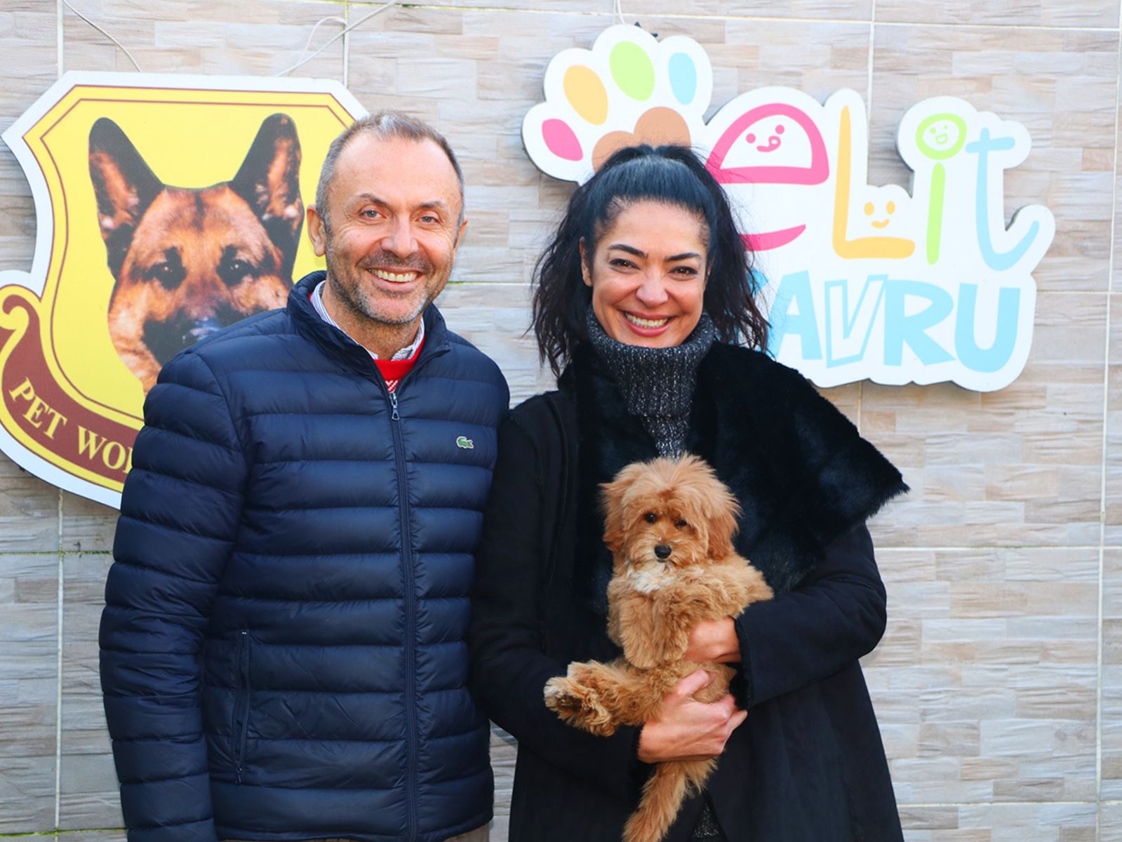 Ankara'dan Sarp bey ve Fulya hanım Dizayn ırk Maltipoo yavrularına kavuştu.