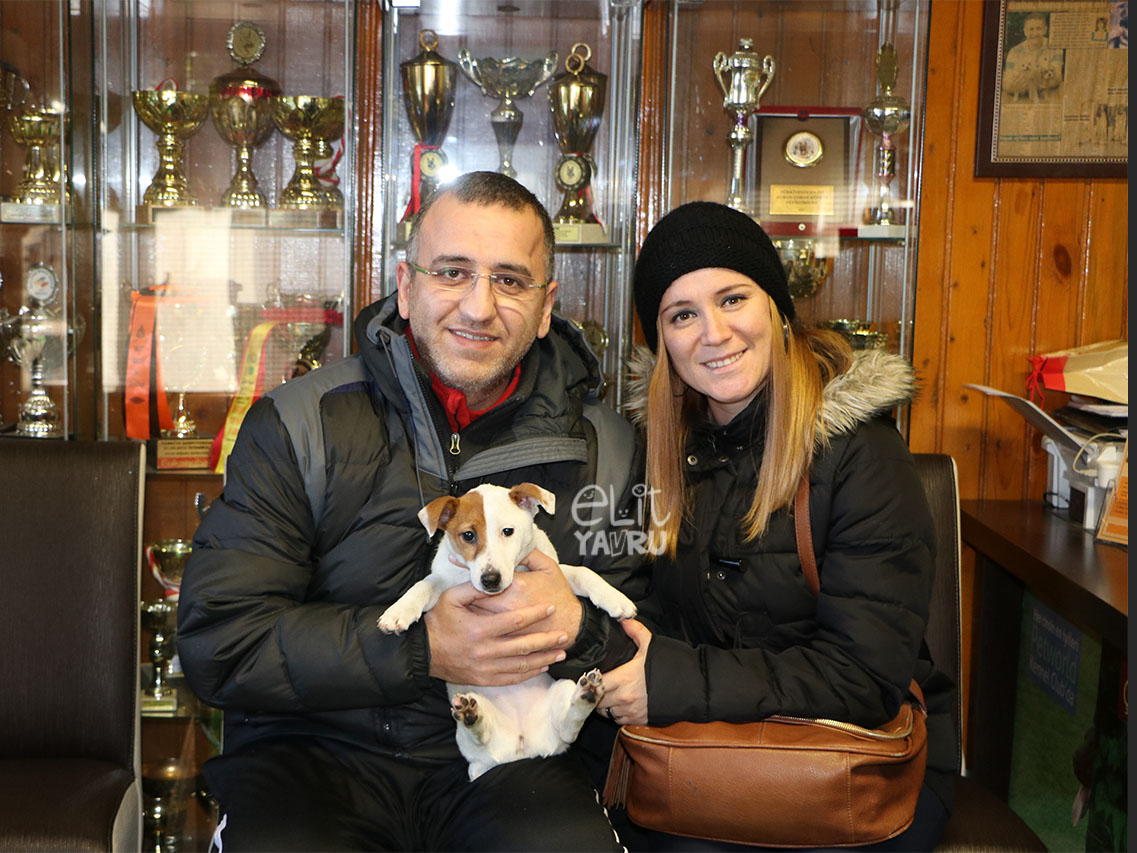 Ahmet Bahar Bilgiç Jack Russell Terrier satışı