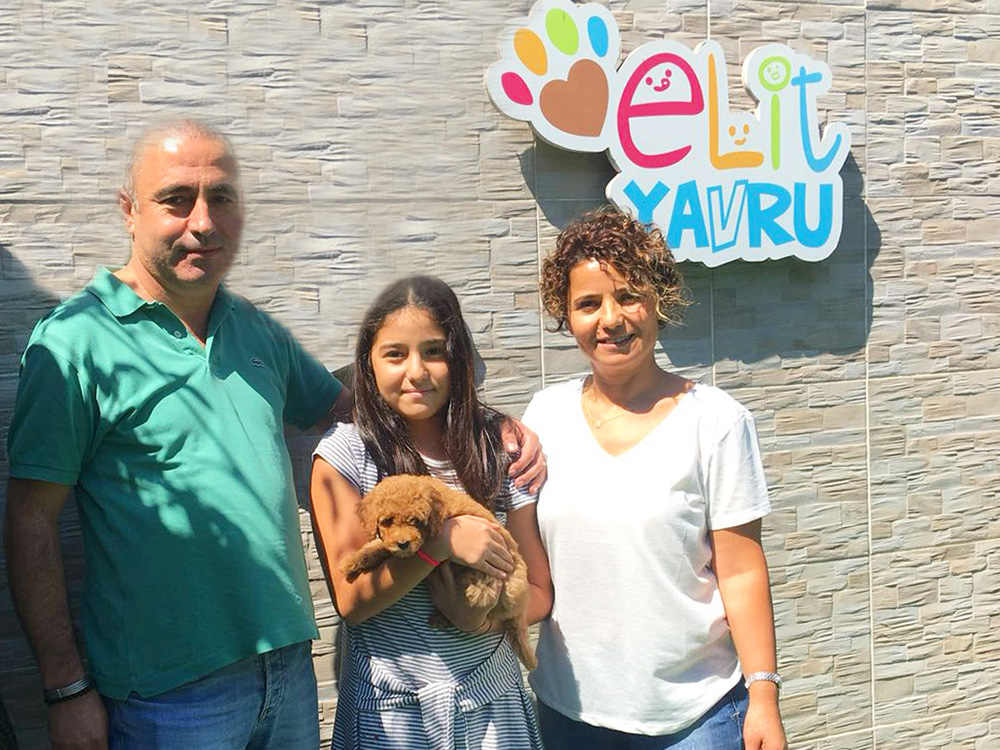 Ankara'dan Ümit Bey ve Ailesi, Toy Poodle elit yavrularına kavuştu