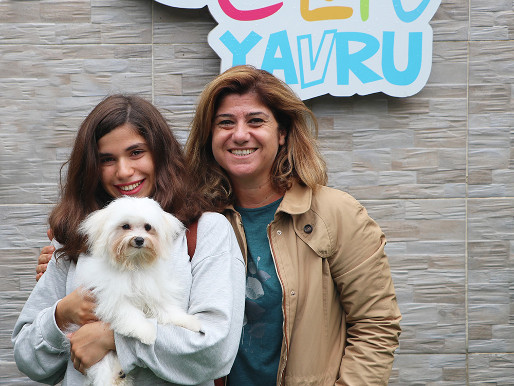 Ayvaz Ailesi, Maltese Terrier elit yavrularına kavuştu