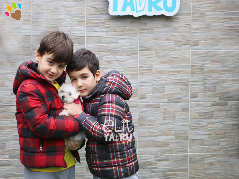 Bayraktar Ailesi, Maltese Terrier Elit Yavru sahibi oldular