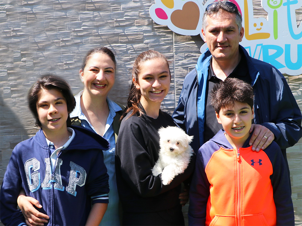 Birol Bozkurt ve Ailesi, Maltese Terrier elit yavrularına kavuştu