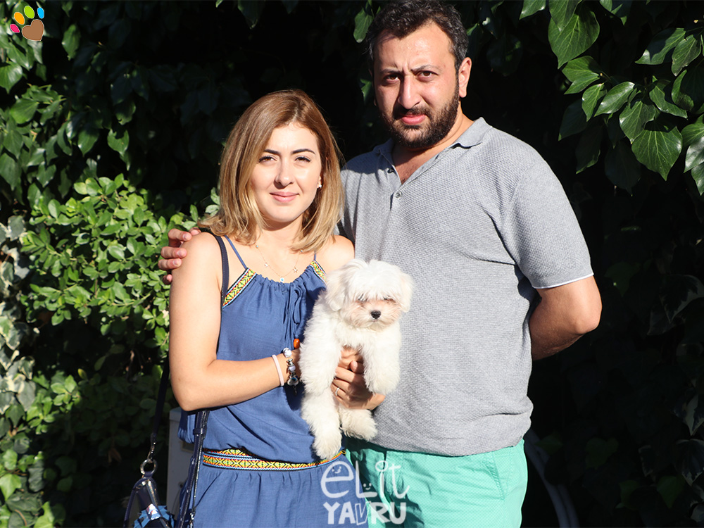 Bursa'dan Yusuf Aral ve eşi, Maltese Terrier Elit Yavru sahibi oldu