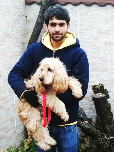 köpek sahiplendirme