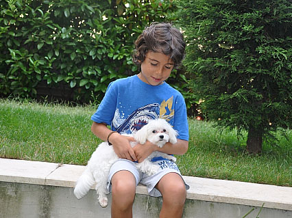 maltese terrier çocuk referans