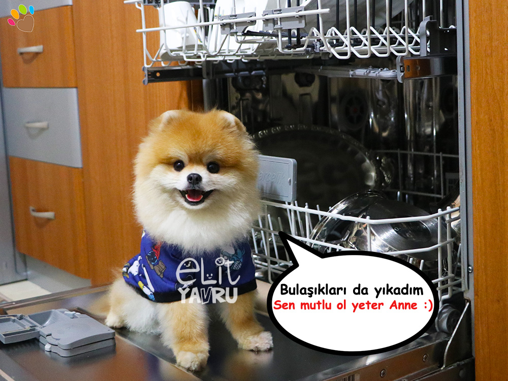 Anneler Günü Kutlu Olsun - Elit Yavru