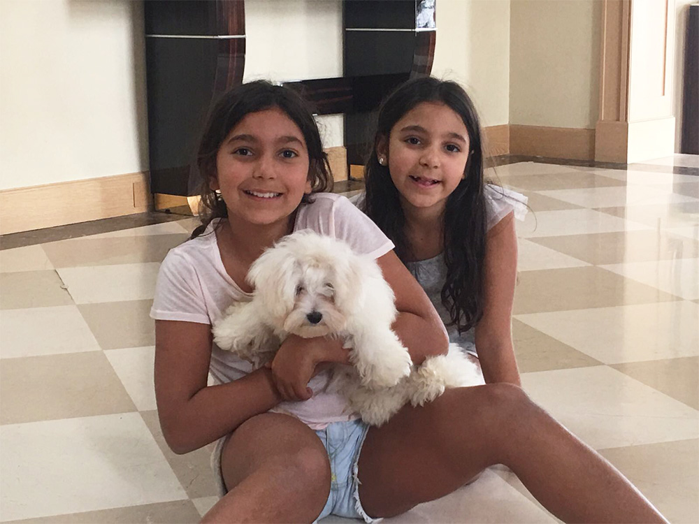 Begümhan Doğan Faralyalı ve eşi Ahmet Faralyalı, Maltese Terrier Elit Yavru sahibi oldular