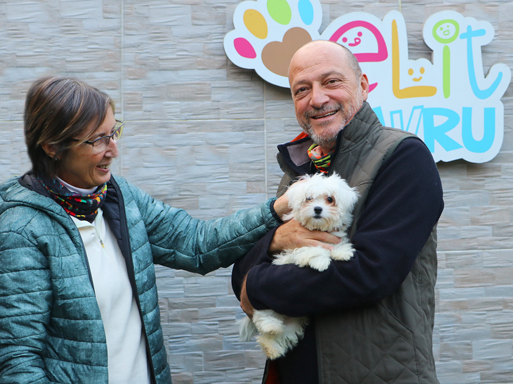 Gökhan Andaç ve Ailesi, Maltese Terrier elit yavrularıyla çok mutlu