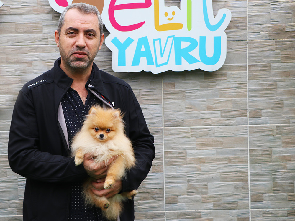 Antalya'dan İrfan Bey, İstanbul'da çiftliğimizden Pomeranian Elit Yavru sahibi oldu
