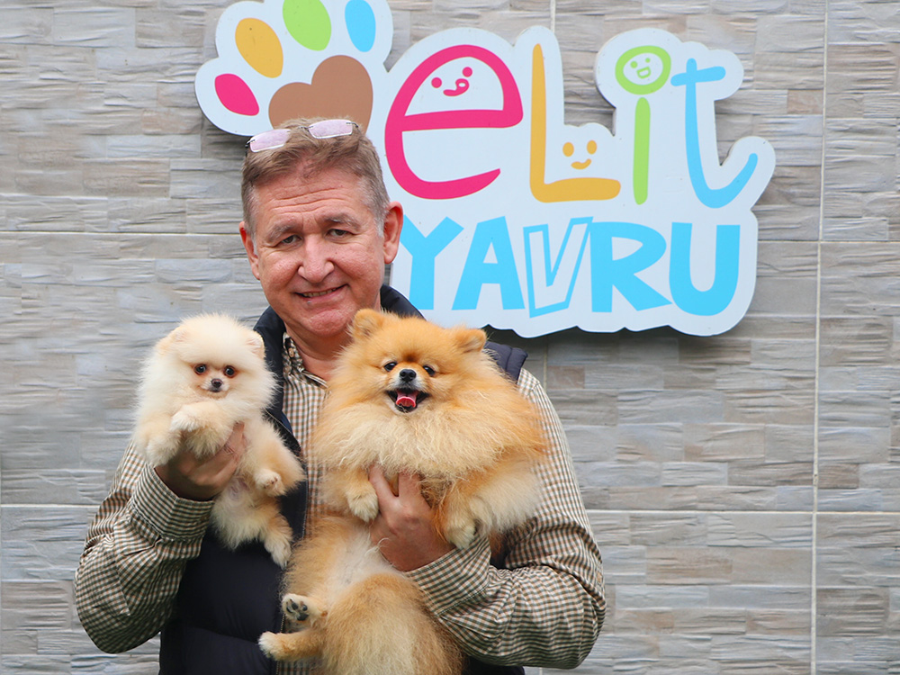 Necip Bey ve Gürkan Bey'in Pomeranian Limon'u baba oldu :)