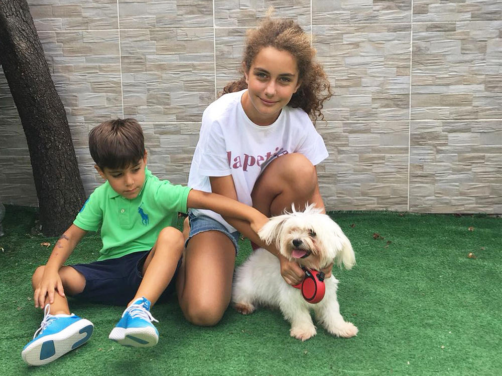 Gasser Ailesi'nin Maltese Terrier elit yavruları eğitimini tamamladı
