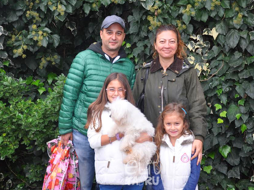maltese terrier satış referans bakşı ailesi