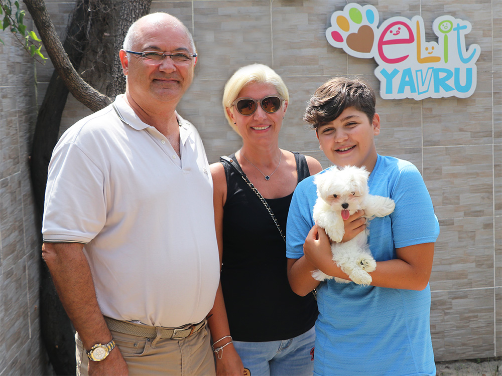 Togay Ailesi, Maltese Terrier ırkından elit yavrumuza sahip oldular