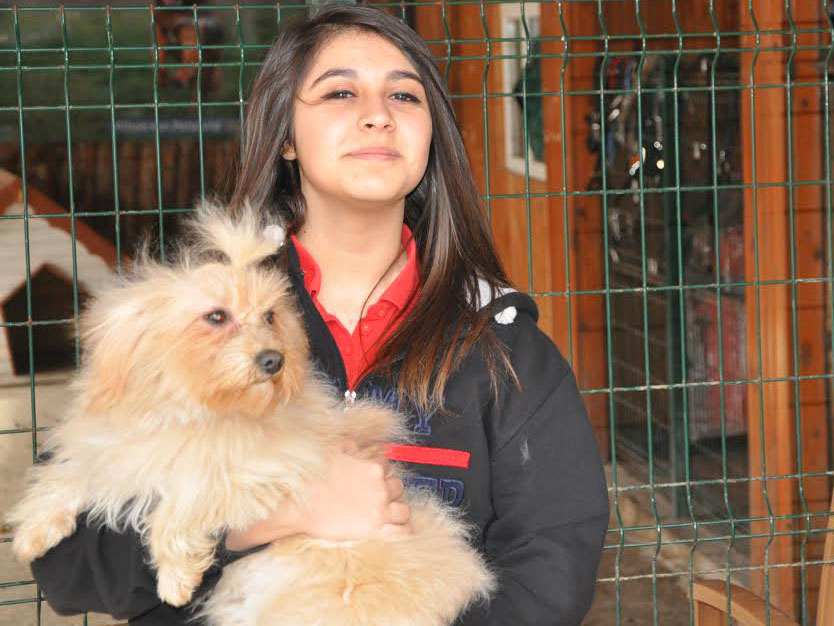 pet sahiplendirme