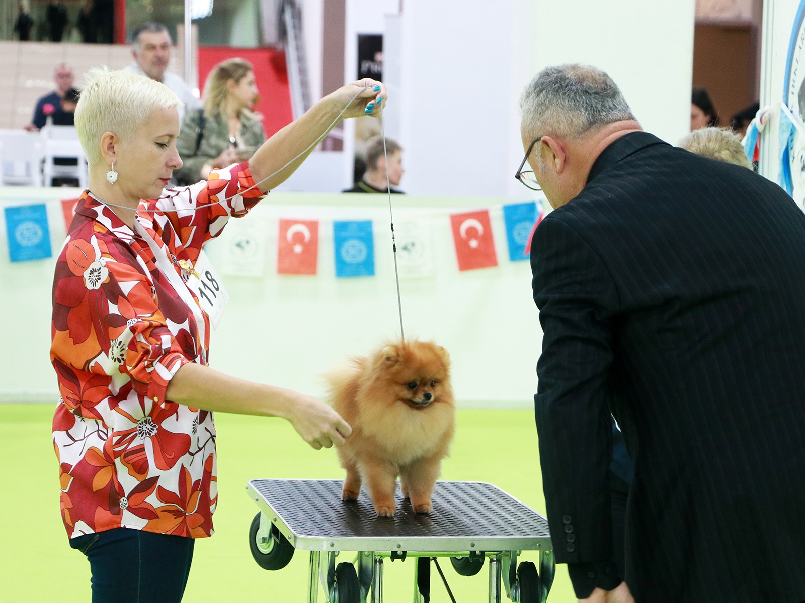 2019 petzoo yarismasi-eros
