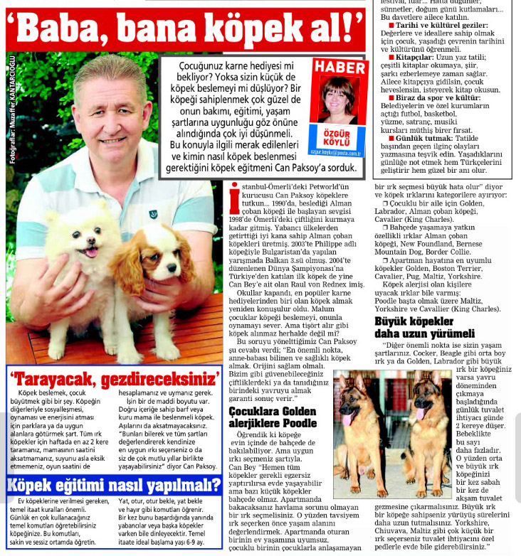 posta gazetesi elit yavru basin